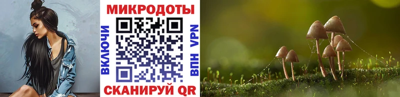 Псилоцибиновые грибы Psilocybine cubensis  купить  сайты  Весьегонск 